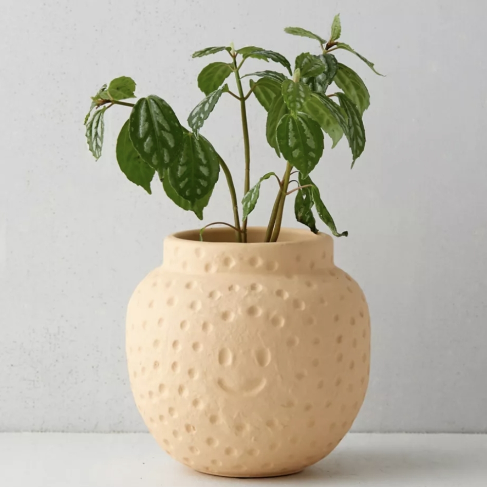 UO Sun Face Planter